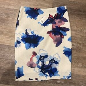 NWT Banana Republic Pencil Skirt Size 2